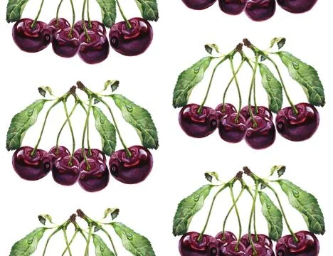 Seamless pattern Watercolor cherry illustration Stock Illustration