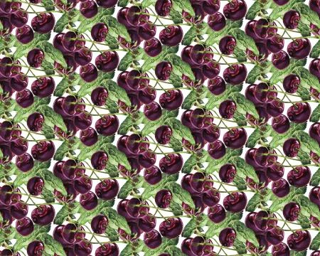 Seamless pattern Watercolor cherry illustration Stock Illustration