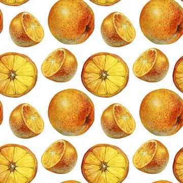 Seamless pattern watercolor citrus fruit orange slice isolated on white Stock Illustration