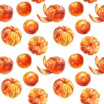 Seamless pattern watercolor citrus fruit orange peel the tangerine on white Stock Illustration