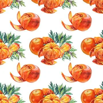 Seamless pattern watercolor composition citrus fruit orange peel the tangerine Stock Illustration