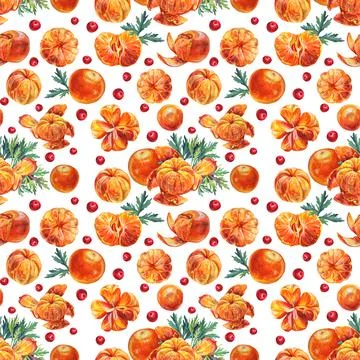 Seamless pattern watercolor composition citrus fruit orange or tangerine with Stock Illustration