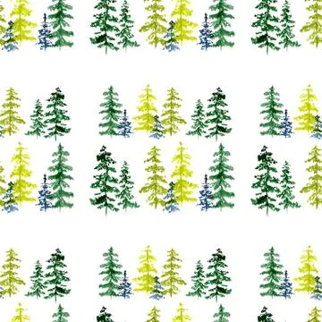 Seamless pattern with watercolor conifer trees. To design and decor backgrounds Stock Illustration