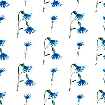 Seamless pattern with watercolor cornflowers. Hand drawn ornament with blue Stock Illustration