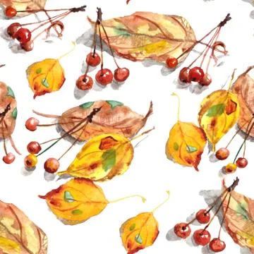 Seamless pattern of watercolor drawing set of autumn leaves and small ornamen Stock Illustration