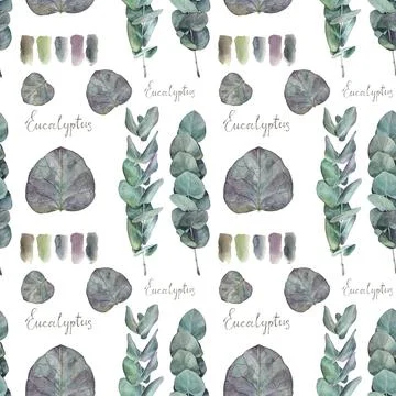 Seamless pattern watercolor eucalyptus and lettering isolated on white Stock Illustration