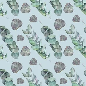 Seamless pattern watercolor eucalyptus on blue background. Hand-drawn botanical Stock Illustration