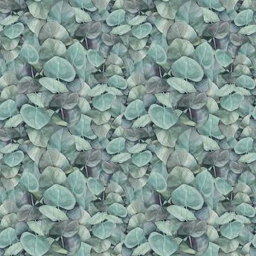 Seamless pattern watercolor eucalyptus leaves background. Hand-drawn botanical Stock Illustration