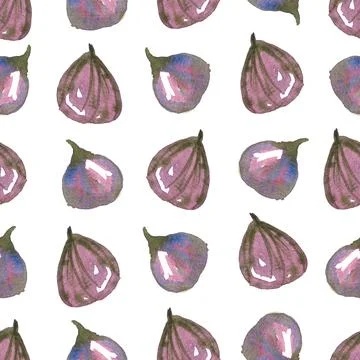Seamless pattern of watercolor figs hand drawn on white background Stock Illustration