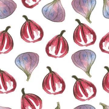 Seamless pattern of watercolor figs hand drawn on white background Stock Illustration