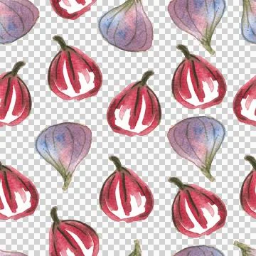 Seamless pattern of watercolor figs hand drawn on white background Stock Illustration