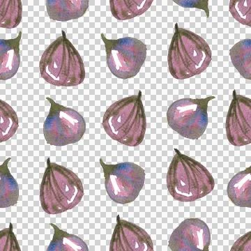 Seamless pattern of watercolor figs hand drawn on white background Stock Illustration