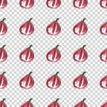 Seamless pattern of watercolor figs hand drawn on white background Stock Illustration
