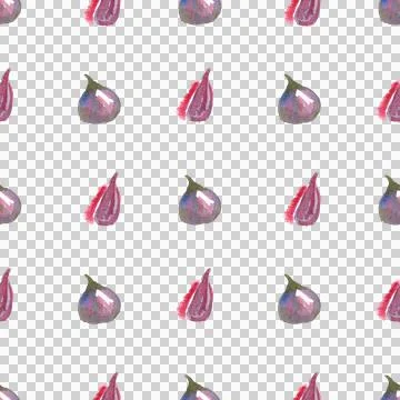 Seamless pattern of watercolor figs hand drawn on white background Illustrazione stock
