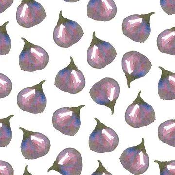 Seamless pattern of watercolor figs hand drawn on white background 스톡 일러스트