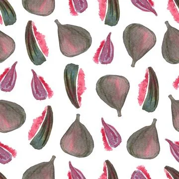 Seamless pattern of watercolor figs hand drawn on white background 스톡 일러스트