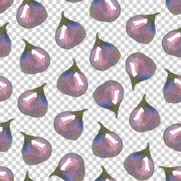 Seamless pattern of watercolor figs hand drawn on white background Illustrazione stock