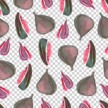 Seamless pattern of watercolor figs hand drawn on white background 스톡 일러스트