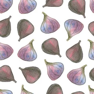 Seamless pattern of watercolor figs hand drawn on white background 스톡 일러스트