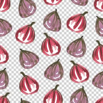 Seamless pattern of watercolor figs hand drawn on white background 스톡 일러스트