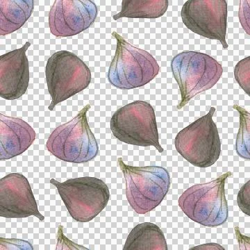 Seamless pattern of watercolor figs hand drawn on white background 스톡 일러스트