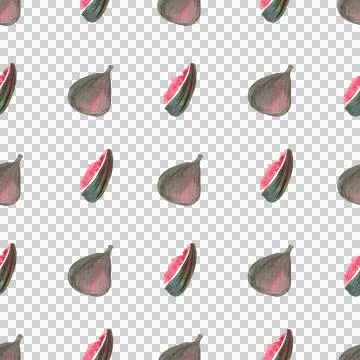 Seamless pattern of watercolor figs hand drawn on white background Illustrazione stock