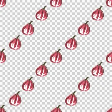 Seamless pattern of watercolor figs hand drawn on white background 스톡 일러스트
