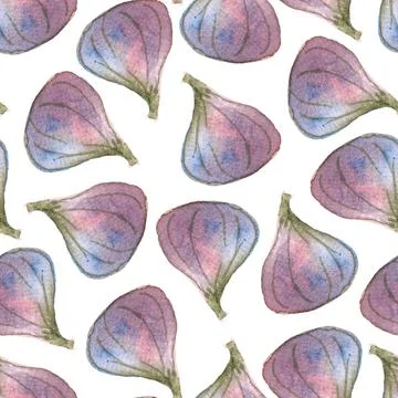 Seamless pattern of watercolor figs hand drawn on white background Stock Illustration