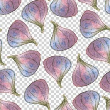 Seamless pattern of watercolor figs hand drawn on white background Stock Illustration