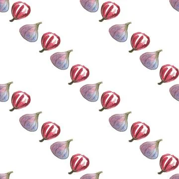 Seamless pattern of watercolor figs hand drawn on white background Stock Illustration
