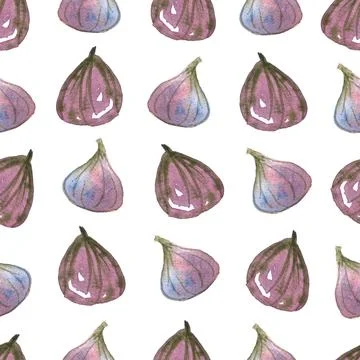 Seamless pattern of watercolor figs hand drawn on white background Stock Illustration