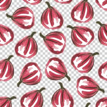 Seamless pattern of watercolor figs hand drawn on white background Stock Illustration