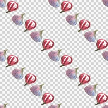 Seamless pattern of watercolor figs hand drawn on white background Stock Illustration