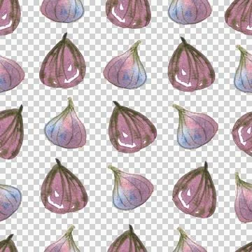 Seamless pattern of watercolor figs hand drawn on white background Stock Illustration