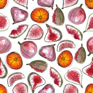 Seamless pattern of watercolor figs hand drawn on white background Stock Illustration