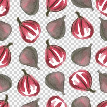 Seamless pattern of watercolor figs hand drawn on white background Stock Illustration