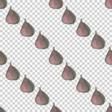 Seamless pattern of watercolor figs hand drawn on white background Stock Illustration