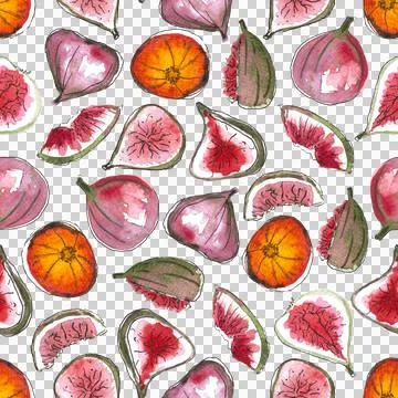 Seamless pattern of watercolor figs hand drawn on white background Stock Illustration