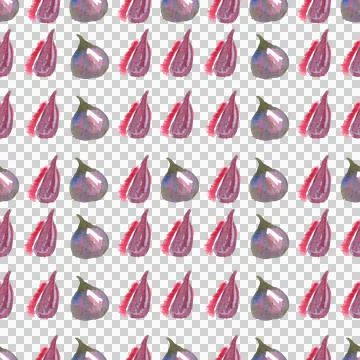 Seamless pattern of watercolor figs hand drawn on white background Stock Illustration