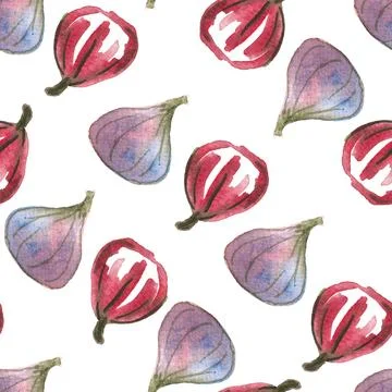 Seamless pattern of watercolor figs hand drawn on white background Stock Illustration