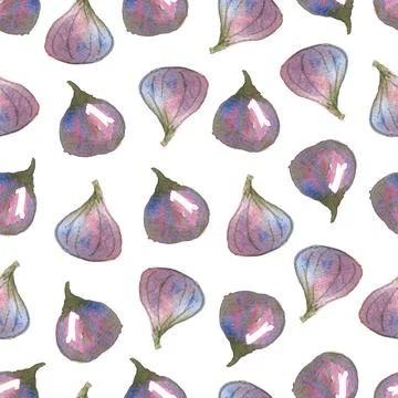 Seamless pattern of watercolor figs hand drawn on white background Stock Illustration