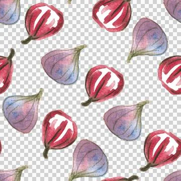 Seamless pattern of watercolor figs hand drawn on white background Illustrazione stock