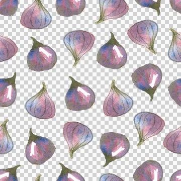 Seamless pattern of watercolor figs hand drawn on white background Stock Illustration