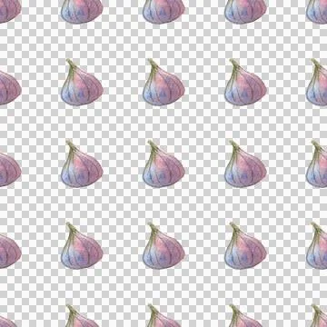 Seamless pattern of watercolor figs hand drawn on white background Stock-Illustration