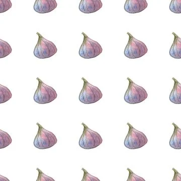 Seamless pattern of watercolor figs hand drawn on white background Stock Illustration