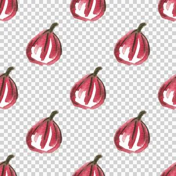 Seamless pattern of watercolor figs hand drawn on white background Stock Illustration
