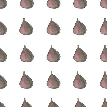 Seamless pattern of watercolor figs hand drawn on white background Stock Illustration