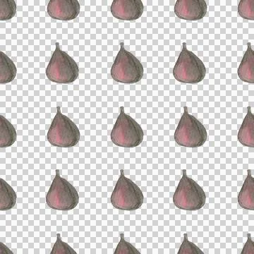 Seamless pattern of watercolor figs hand drawn on white background Stock Illustration