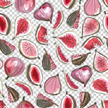 Seamless pattern of watercolor figs hand drawn on white background Stock Illustration