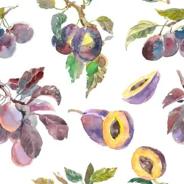 Seamless pattern of watercolor fruit plum branch isolated on white background Stock Illustration